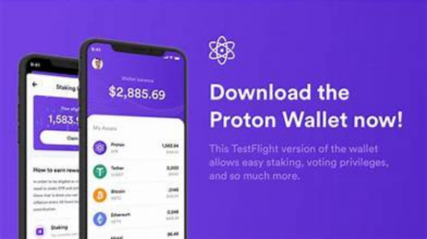 ProtonMail 开发商推出自主托管比特币钱包插图