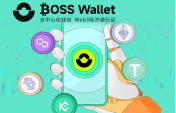 Boss Wallet