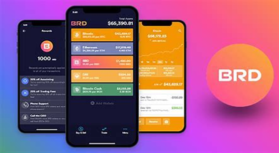 brd钱包使用方法 详细介绍brd钱包的使用教程插图2